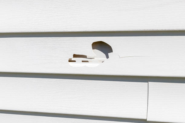 Best Vinyl Siding Installation  in Penn Estates, PA